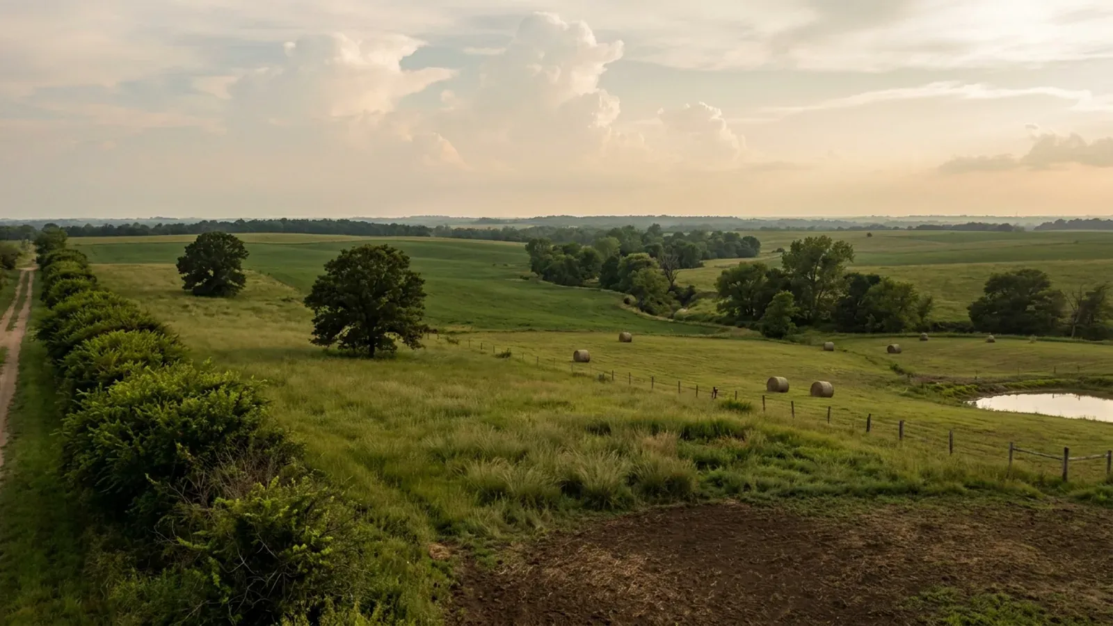 Gently rolling pasture and hay meadow with an osage-orange hedgerow, lone bur oaks and a wooded creek bottom under summer clouds.